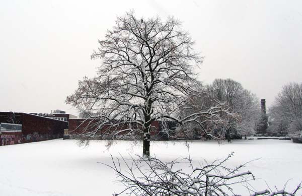 Stirchley Park in the snow Stirchley Park in the snow