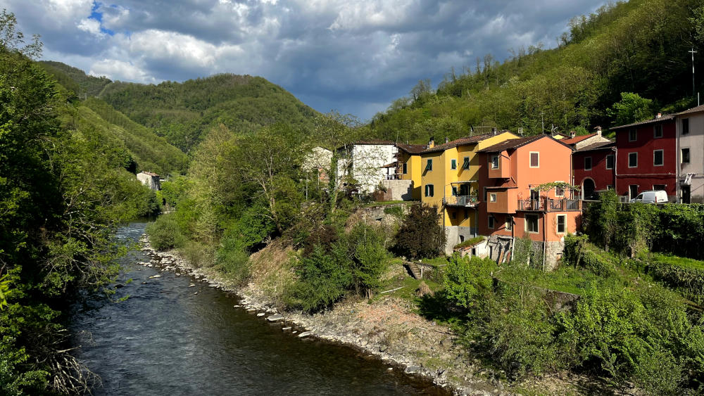 Coloured painted houses overlooking a river with trees on either side