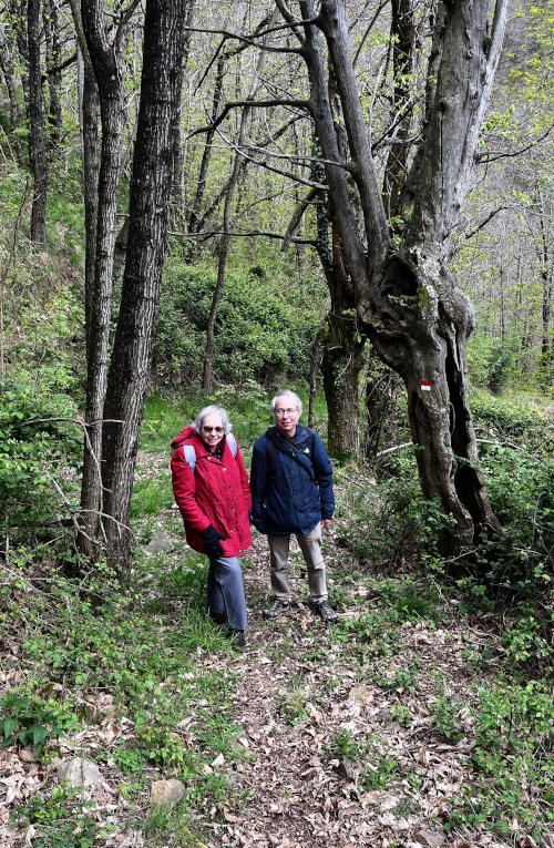 Miriam and Phil standing on a wooded footpath