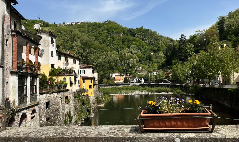 Traditional houses overlooking a bend in a river, with wooded hills behind and a flower box on the parapet of a bridge in the foreground